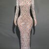 Claudia Evening Party Shiny Rhinestone Dress