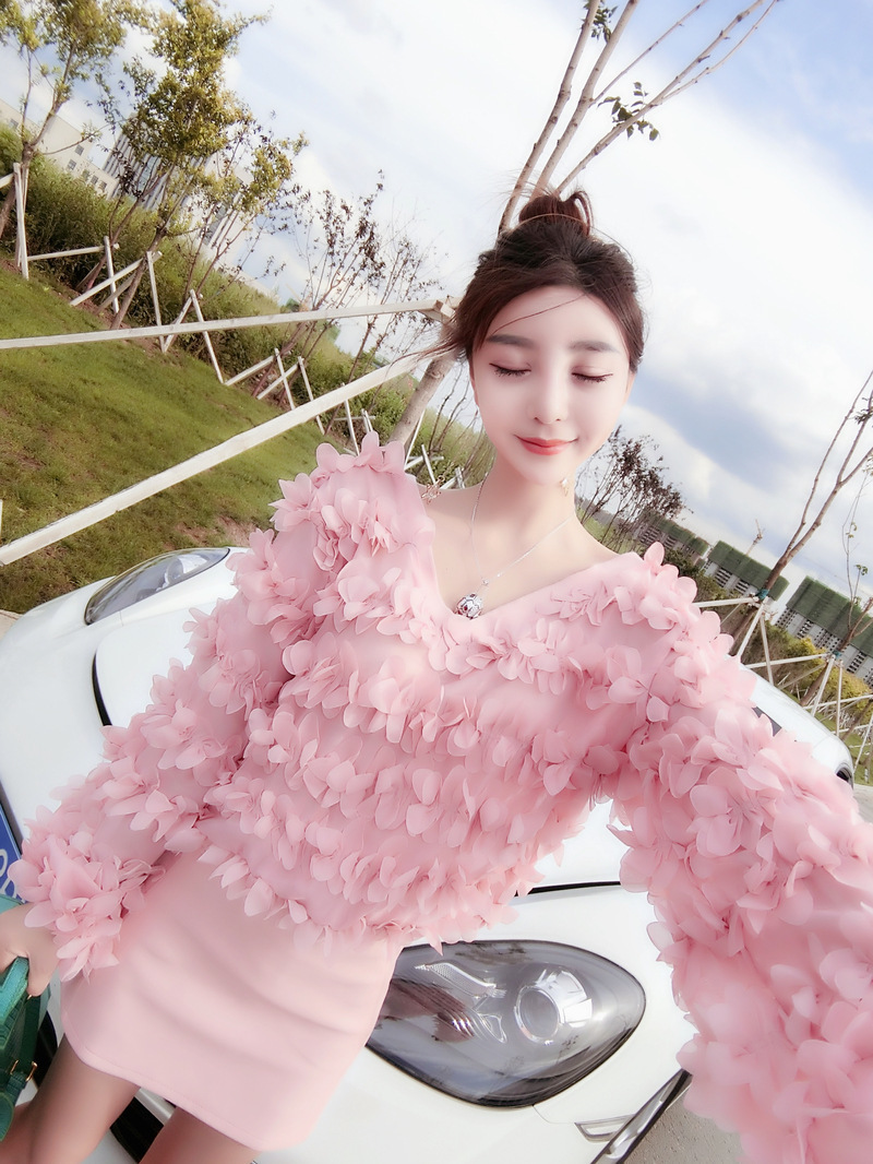 Sexy Petal V-Neck Long Sleeve Top